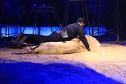 Martin Lacey jr. zeigt eine gemischte Raubtiernummer im ersten Programmes der 101. Wintersaison.(©foto: Martin Schmitz)